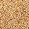 Barnyard Millet Seed