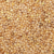 Barnyard Millet Seed