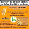 Karan Vandana (DBW 187)