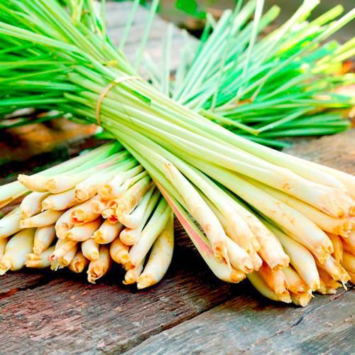 Natural-Lemon-Grass-1.jpg