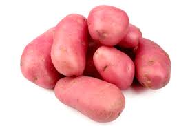 Potato Farming