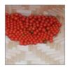 Ashwagandha Seed - Image 2