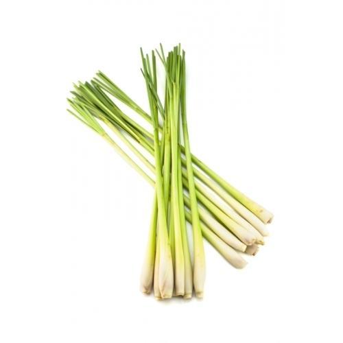 lemon-grass-500x500-2.jpg