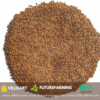 Black Paddy Seeds - Image 3