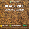 Black Paddy Seeds - Image 5