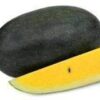 Aarohi Yellow Watermelon (Known You Seeds) - Image 2