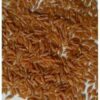 Khapli Wheat Seed - Image 2